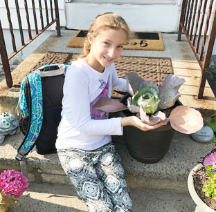 elementary girl poses with her huge cabbage