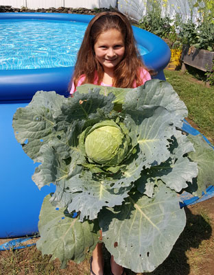 girl holding a giant cabbage