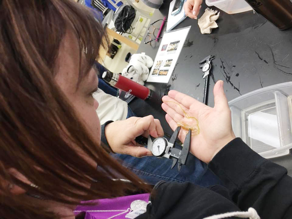 a teacher uses a device to look at an object in her hand