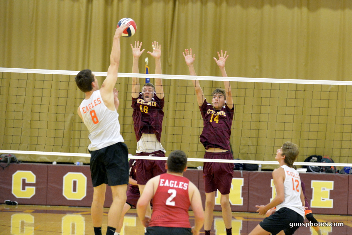 volleyball players leap at the net