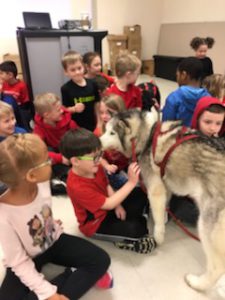 students pet sled dog in their classroom