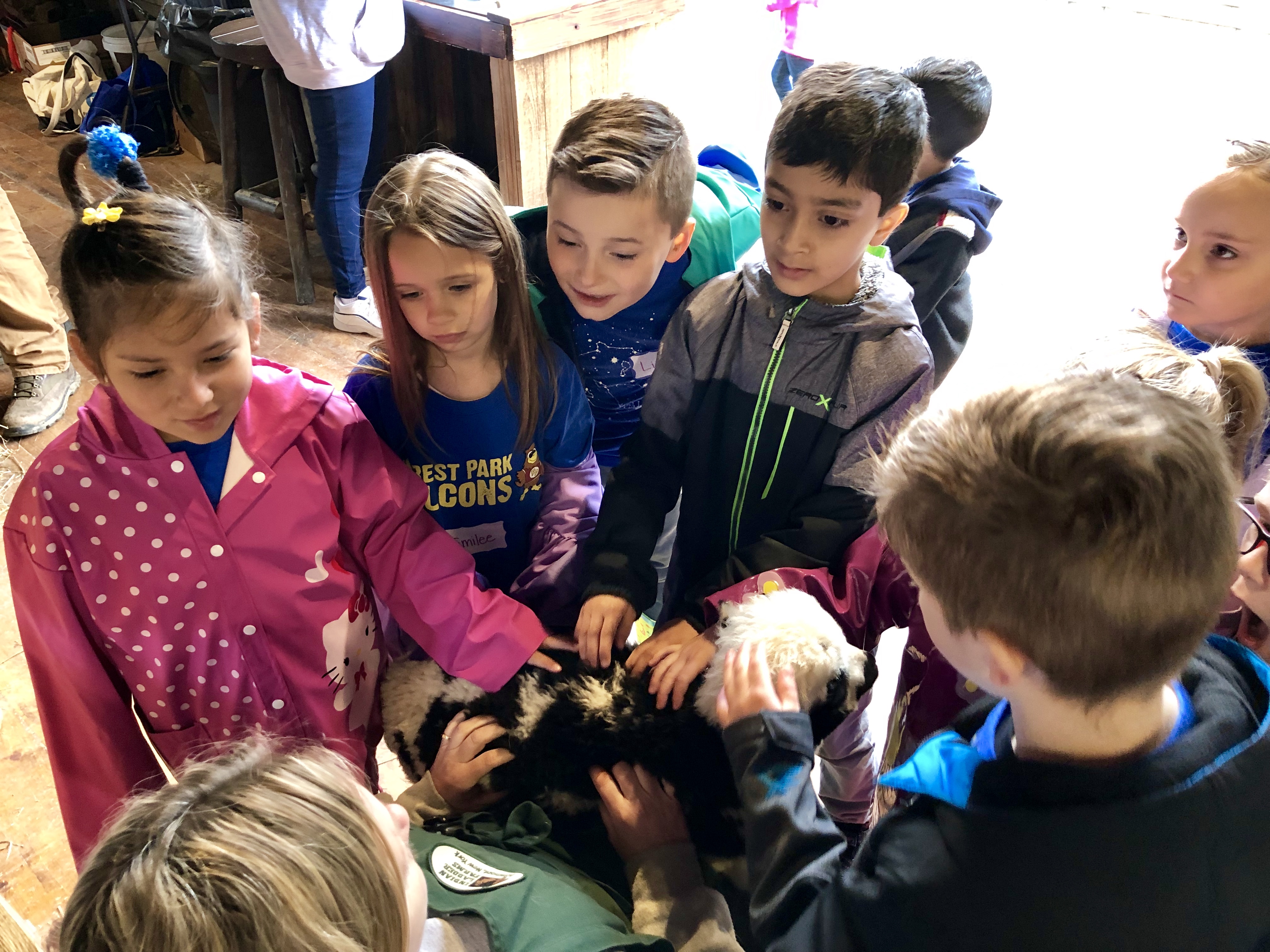 group of children pet goats