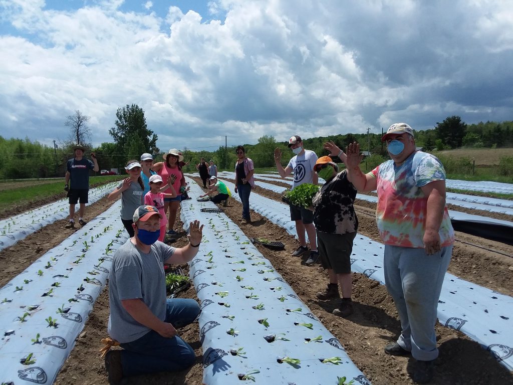 people plant crops at an outdoor farm.