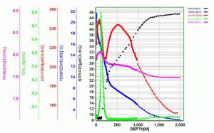 Recent research provided by the SOCCOM float Moana.