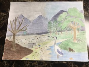 Lisha Kill student Ms. Le's winning submission for the “Protect Our Watershed” poster contest.