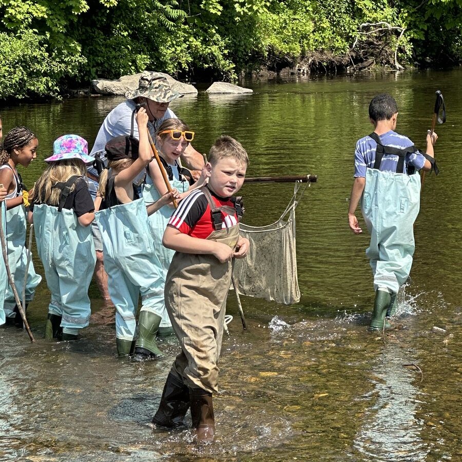 students in the creek releasing rainbow trout