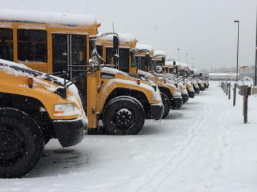 School buses covered with snow