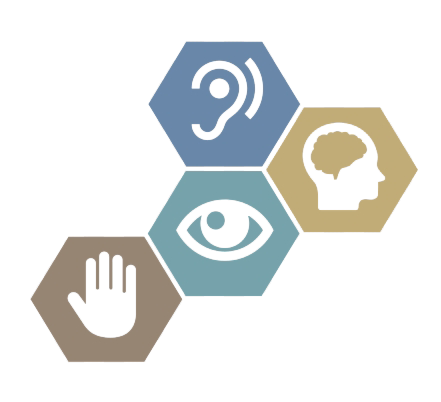 Four hexagons representing website accessibility. The bottom left has a hand in the stop position, the hexagon up to the right has an outline of an eye. The top hexagon has the outline of an ear and the far right has an outline of a head with a brain highlighted. Four hexagons representing website accessibility. The bottom left has a hand in the stop position, the hexagon up to the right has an outline of an eye. The top hexagon has the outline of an ear and the far right has an outline of a head with a brain highlighted.