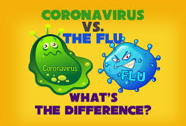 Poster with two images of germs. The one of the left is named Coronavirus and the one on the right reads flu. The title reads "Coronavirus vs. The Flu, What's the Difference?"
