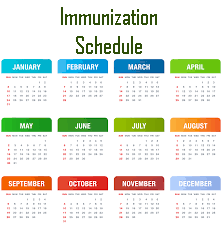 Twelve month calendar with the title "Immunization Schedule"
