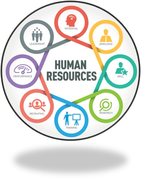 Circle containing 8 smaller circles with images inside each along with a title. Starting at the top moving in a clockwise direction are the following; picture of a head that reads "Potential", figure of a man that reads "Employee", figure of a person with a star that reads "Skill", looking glass surrounded with arrows that reads "Research", figure of a person standing with an easel that reads "Training", image of three heads with one inside a looking glass that reads "Recruiting", speedometer from a car that reads "Performance", and circles creating a pyramid with the bottom row as men that reads "Leadership". The middle reads "Human Resources".