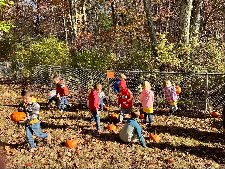 Students collecting pumpkins