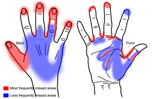 Front and back of hand showing the different target areas of handwashing and most often missed areas.