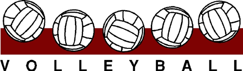 Volleyball 