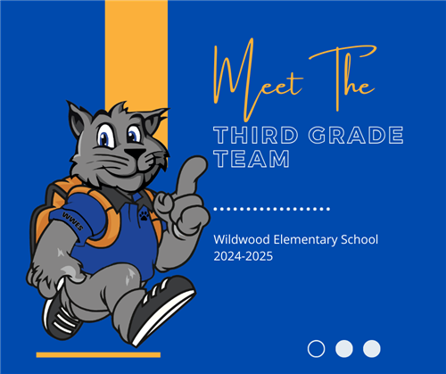 meet the 3rd grade team