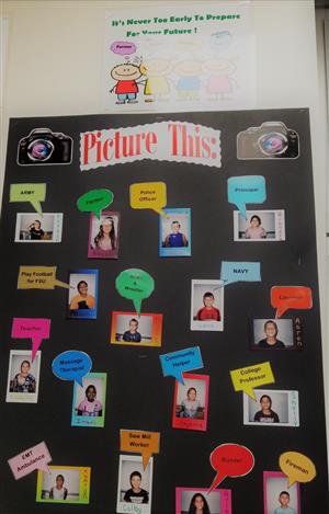 Student Career Choices 