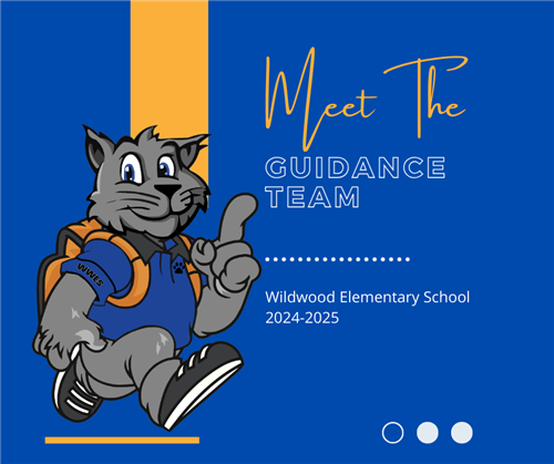 Meet the Guidance Team