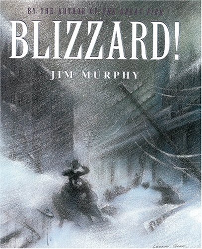 blizzard image