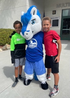 Bolt the Colt Bolt the Colt