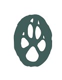 Paw Print Paw Print