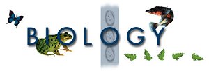 Biology Biology
