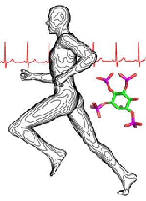 Human Anatomy Human Anatomy