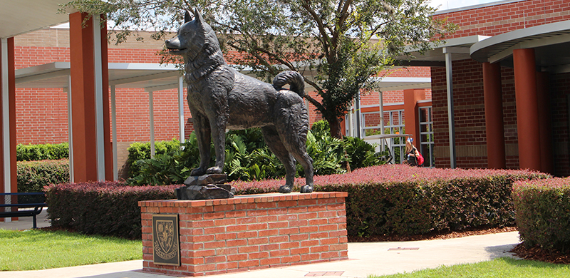 Husky sculpture