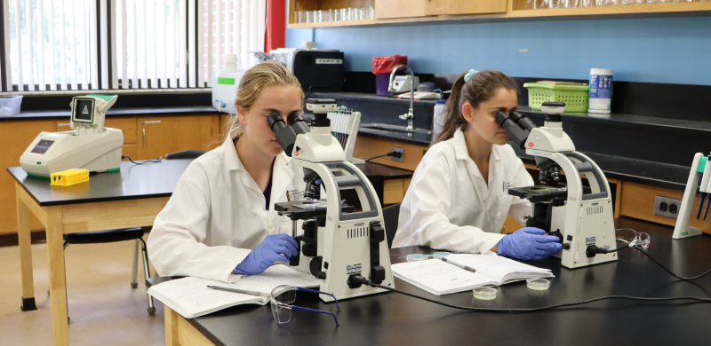 students at microscopes