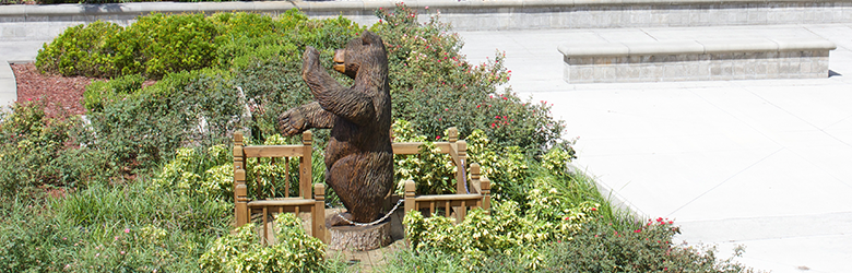 Bear carving
