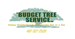 A Budget Tree Service Logo