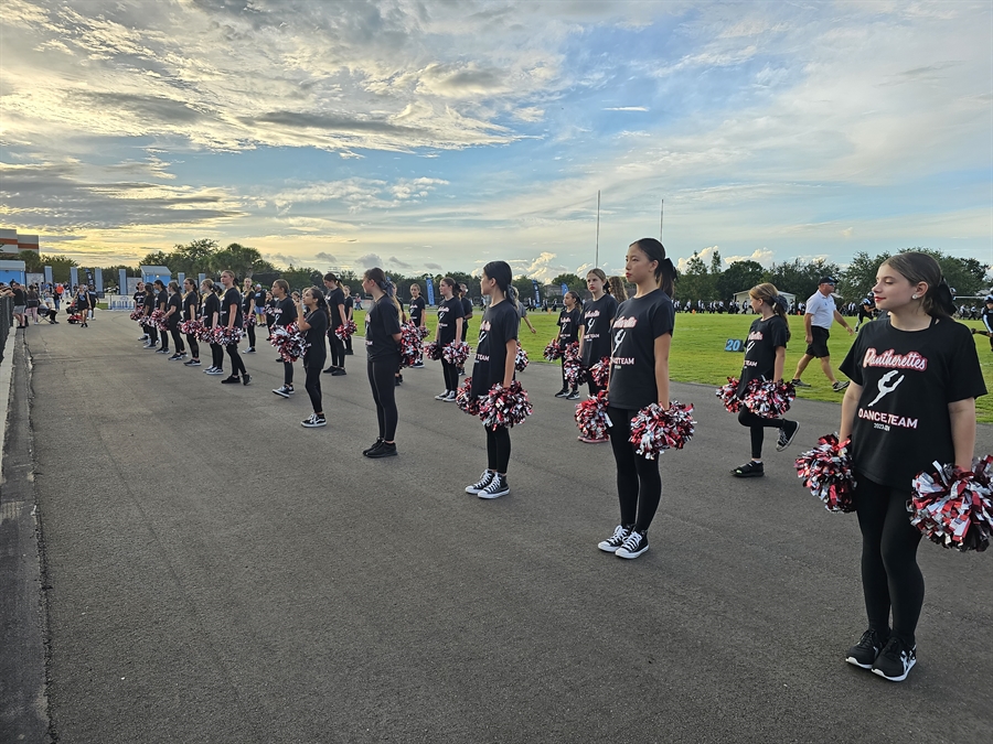 pantherettes pantherettes