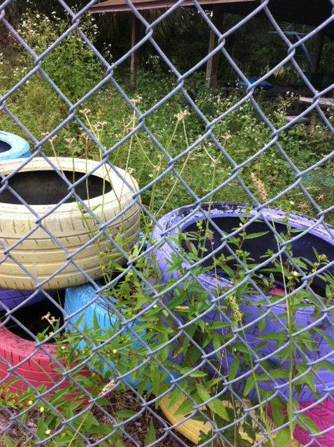 Picture of Tires through Fence