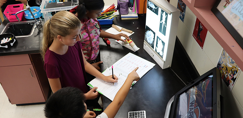 Students in medical class