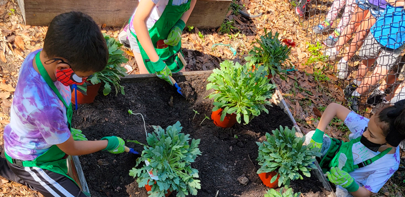students in the garden