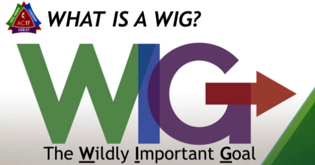 What is a Wig? What is a Wig?
