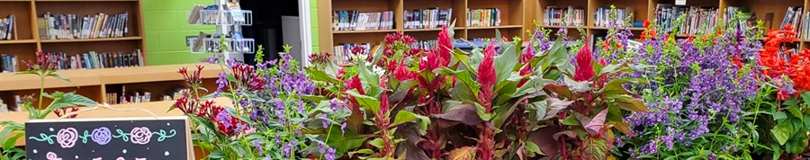 Flowers in the media center