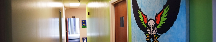 SCVS eagle on a wall