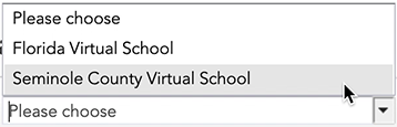 Select Virtual School