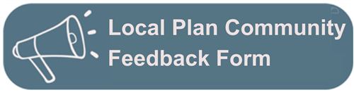 Local Plan Survey