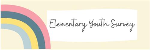 Elementary Youth Survey