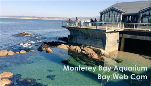Monterey Bay Monterey Bay