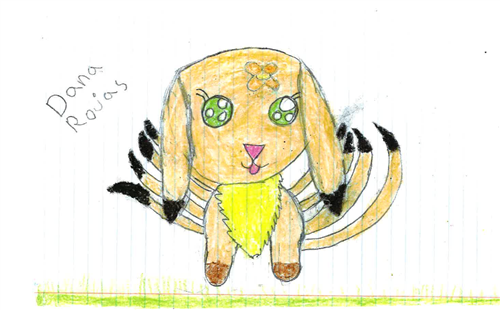 Dana Rojas Correa Dana Rojas Correa