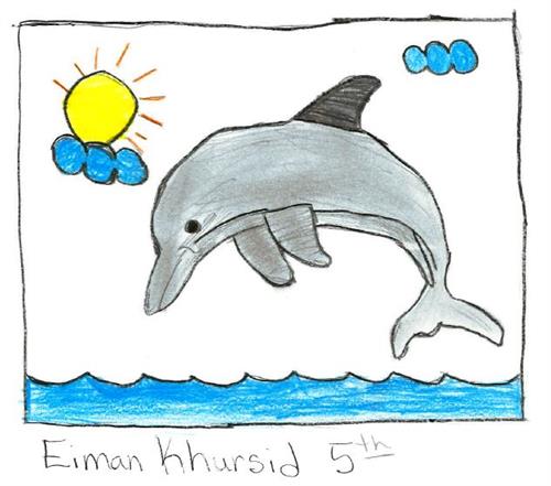 Dolphin by Eiman Dolphin by Eiman