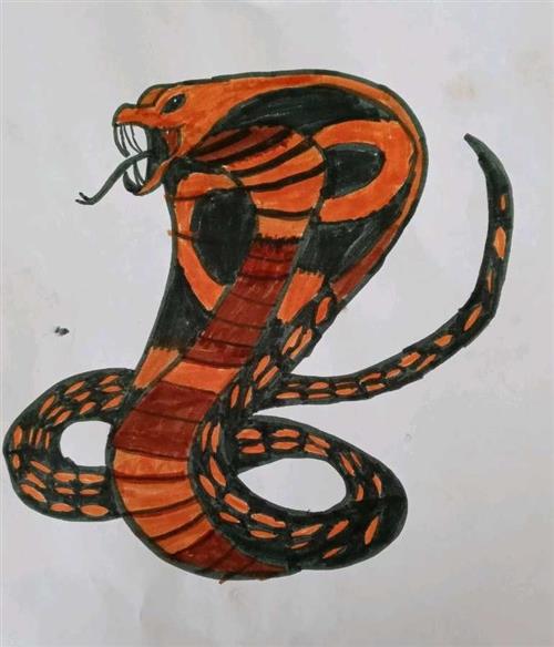 Cobra by Mathew Cobra by Mathew
