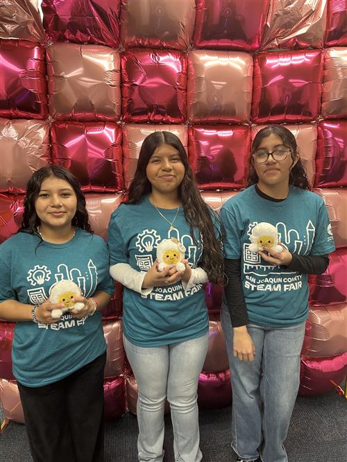 STEAM Fair Fillmore 2