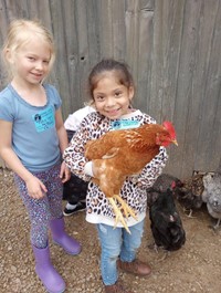 Learning Tree Farm Field Trip