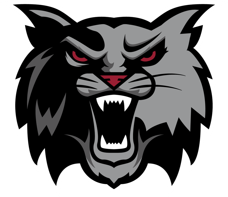  Wildcat Logo