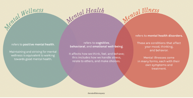 mental health to illness tems