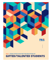 GT State Plan- English