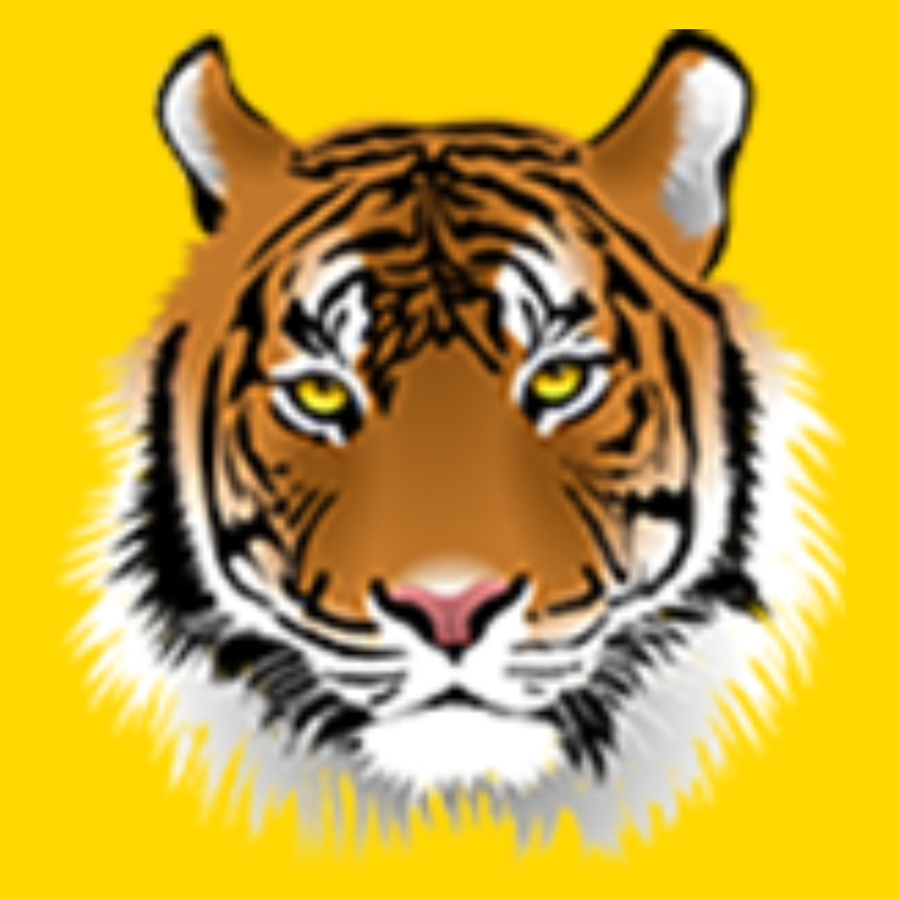 Big Ridge Elementary School Logo